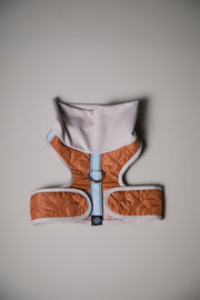 Italian Greyhound / Whippet Terracotta Quilted Turtleneck Harness GADE