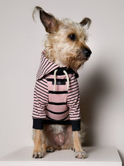 Standard Pink and Black Striped Sweater LINE