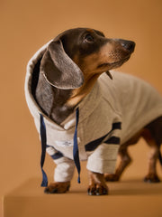 Dachshund Sand Hoodie BRIE