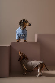 Dachshund Taupe Turtleneck Sweater CAIRO