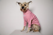 Standard Pink Ribbed Sweater with Patches MIST