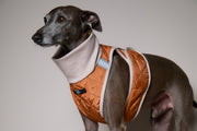 Italian Greyhound / Whippet Terracotta Quilted Turtleneck Harness GADE