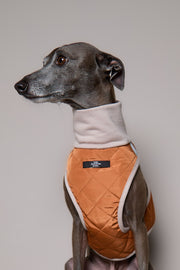 Italian Greyhound / Whippet Terracotta Quilted Turtleneck Harness GADE