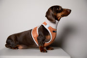 Dachshund Terracotta Quilted Turtleneck Harness GADE