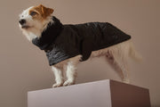 Black Turtleneck Cape HIRO