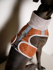 Italian Greyhound / Whippet Terracotta Quilted Turtleneck Harness GADE