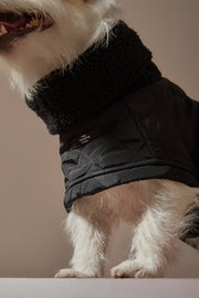 Black Turtleneck Cape HIRO