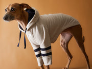 Italian Greyhound / Whippet Sand Hoodie BRIE
