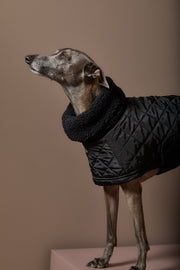 Italian Greyhound / Whippet Black Turtleneck Cape HIRO