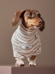 Dachshund Sand and Cream Striped Turtleneck Sweater REED