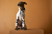 Italian Greyhound / Whippet Sand Hoodie BRIE