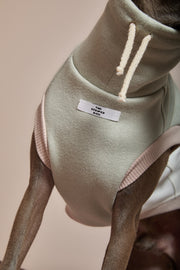 Italian Greyhound / Whippet Color-Block Turtleneck Vest SHEAR
