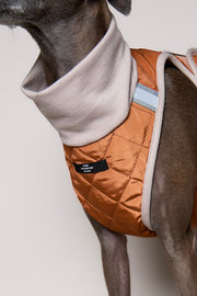 Italian Greyhound / Whippet Terracotta Quilted Turtleneck Harness GADE