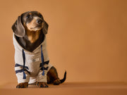 Dachshund Sand Hoodie BRIE