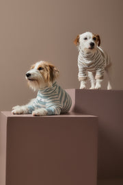 Turquoise and Cream Striped Turtleneck Sweater REED