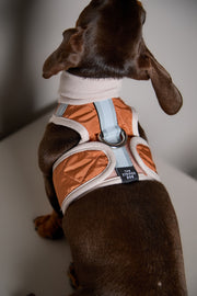 Dachshund Terracotta Quilted Turtleneck Harness GADE