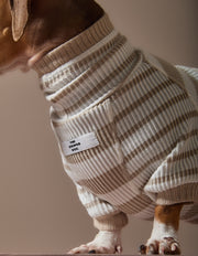 Dachshund Sand and Cream Striped Turtleneck Sweater REED
