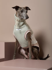 Italian Greyhound / Whippet Color-Block Turtleneck Vest SHEAR