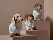Dachshund Turquoise  and Cream Striped Turtleneck Sweater REED