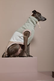 Italian Greyhound / Whippet Color-Block Turtleneck Vest SHEAR