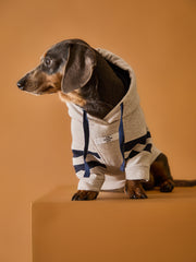 Dachshund Sand Hoodie BRIE