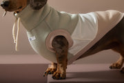 Dachshund Color-Block Turtleneck Vest SHEAR