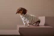 Dachshund Sand and Cream Striped Turtleneck Sweater REED