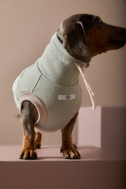 Dachshund Color-Block Turtleneck Vest SHEAR