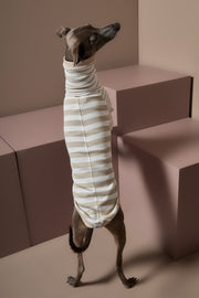 Italian Greyhound / Whippet Sand and Cream Striped Turtleneck Sweater REED