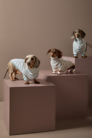 Dachshund Sand and Cream Striped Turtleneck Sweater REED