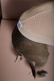 Dachshund Sand Textured Hooded Vest BIRCH