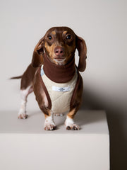 Dachshund Beige Quilted Turtleneck Harness GADE