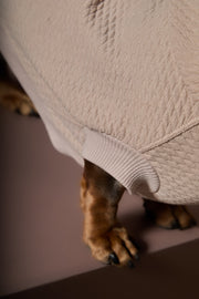 Dachshund Sand Textured Hooded Vest BIRCH
