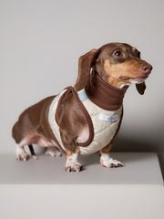 Dachshund Beige Quilted Turtleneck Harness GADE