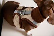 Dachshund Beige Quilted Turtleneck Harness GADE