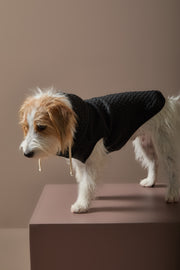 Black Textured Hooded Vest BIRCH