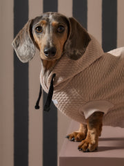 Dachshund Sand Textured Hooded Vest BIRCH