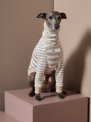 Italian Greyhound / Whippet Sand and Cream Striped Turtleneck Sweater REED