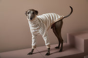 Italian Greyhound / Whippet Sand and Cream Striped Turtleneck Sweater REED