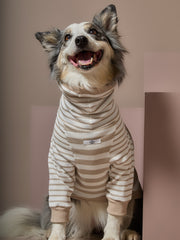 Sand and Cream Striped Turtleneck Sweater REED