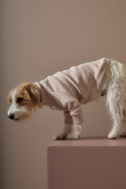 Sand Turtleneck Sweater COVE