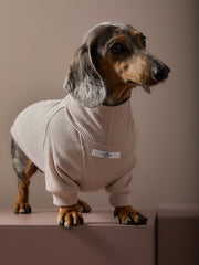 Dachshund Sand Turtleneck Sweater COVE