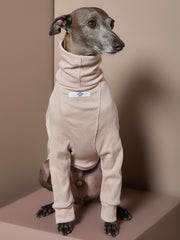 Italian Greyhound / Whippet Sand Turtleneck Sweater COVE