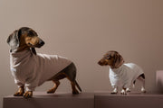 Dachshund Sand Turtleneck Sweater COVE