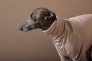Italian Greyhound / Whippet Sand Turtleneck Sweater COVE