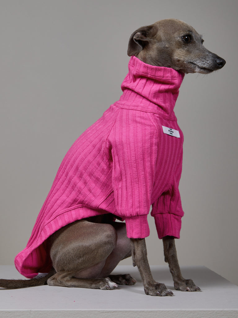 Italian Greyhound / Whippet Pink Ribbed Turtleneck Sweater PRISMA
