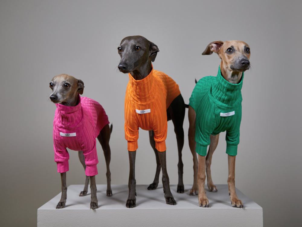 Italian Greyhound / Whippet Green Ribbed Turtleneck Sweater PRISMA