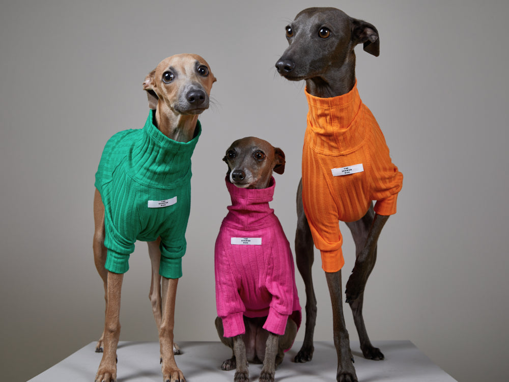 Italian Greyhound / Whippet Orange Ribbed Turtleneck Sweater PRISMA