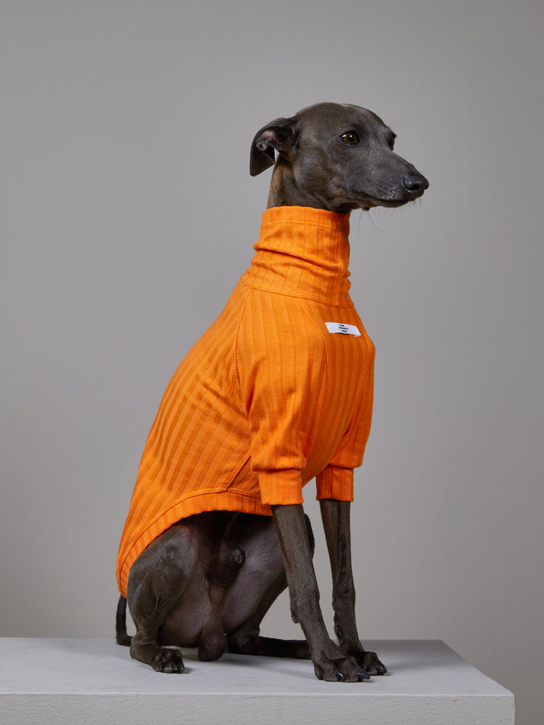 Italian Greyhound / Whippet Orange Ribbed Turtleneck Sweater PRISMA