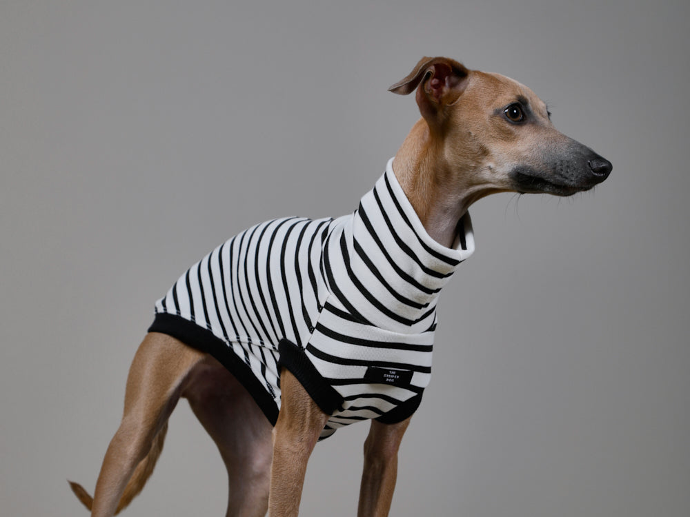 Italian Greyhound / Whippet Striped Black & White Turtleneck Vest SHADE